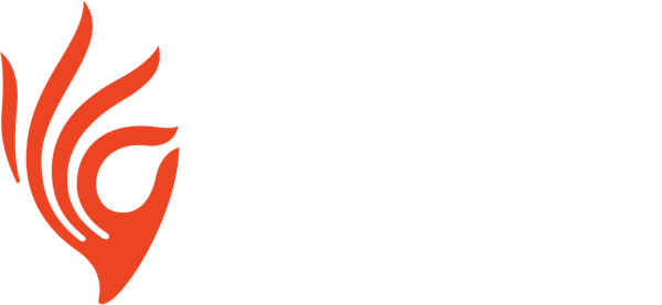 Piramal Finance logo